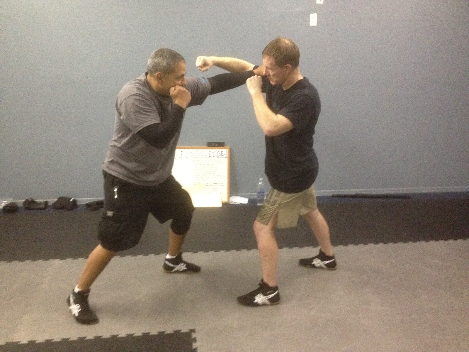 Functional Edge System January 2012