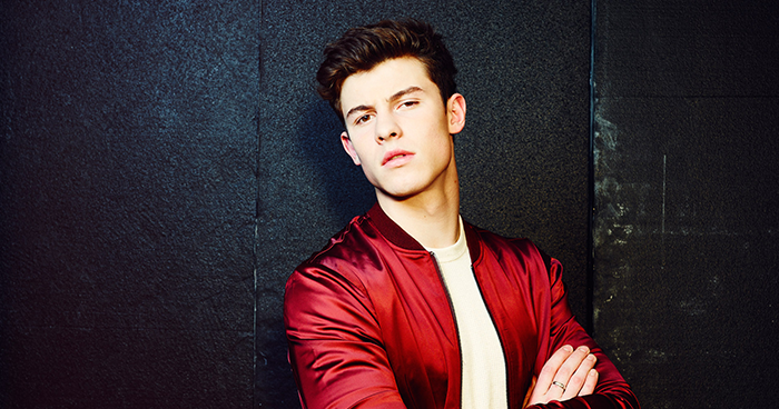 Shawn Mendes Illuminate World Tour Logo Shawn Mendes Illuminate World Tour Logo