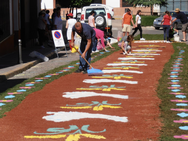 Flower Carpets for Corpus Cristi