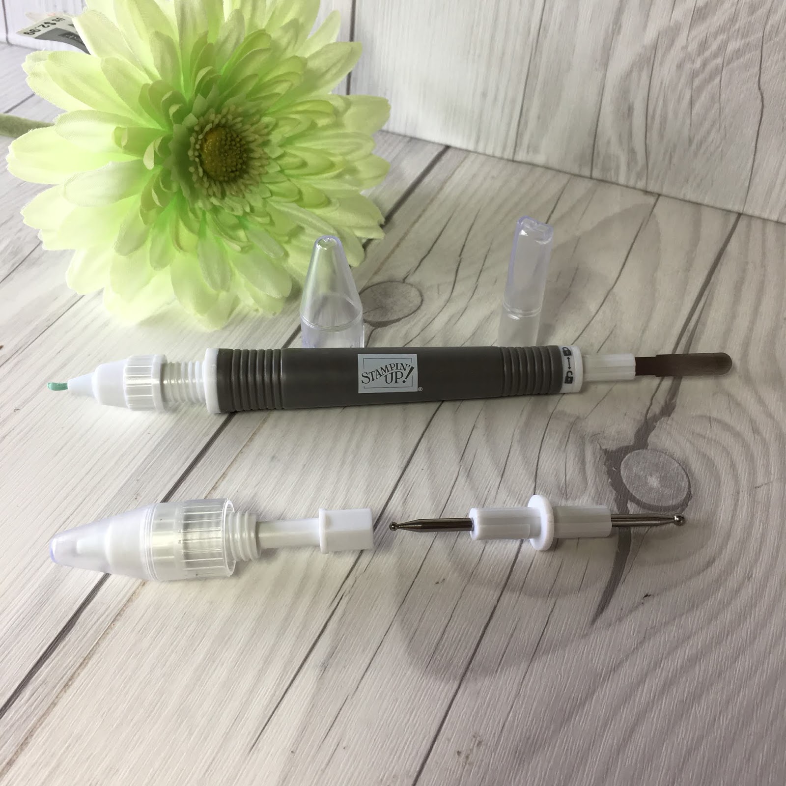 Stampin' Up! Rooted In Nature for beautiful Fall Cards Stamped Sophisticates