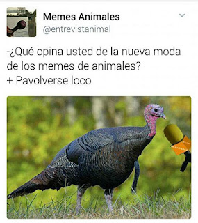 pa volverse loco pa volverse loco