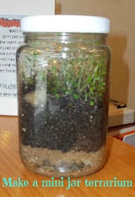 how to make an easy terrarium in a jar for preschool science