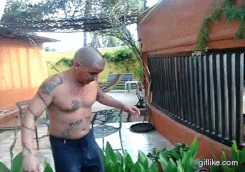 John Cobra Gif animado John Cobra perraca