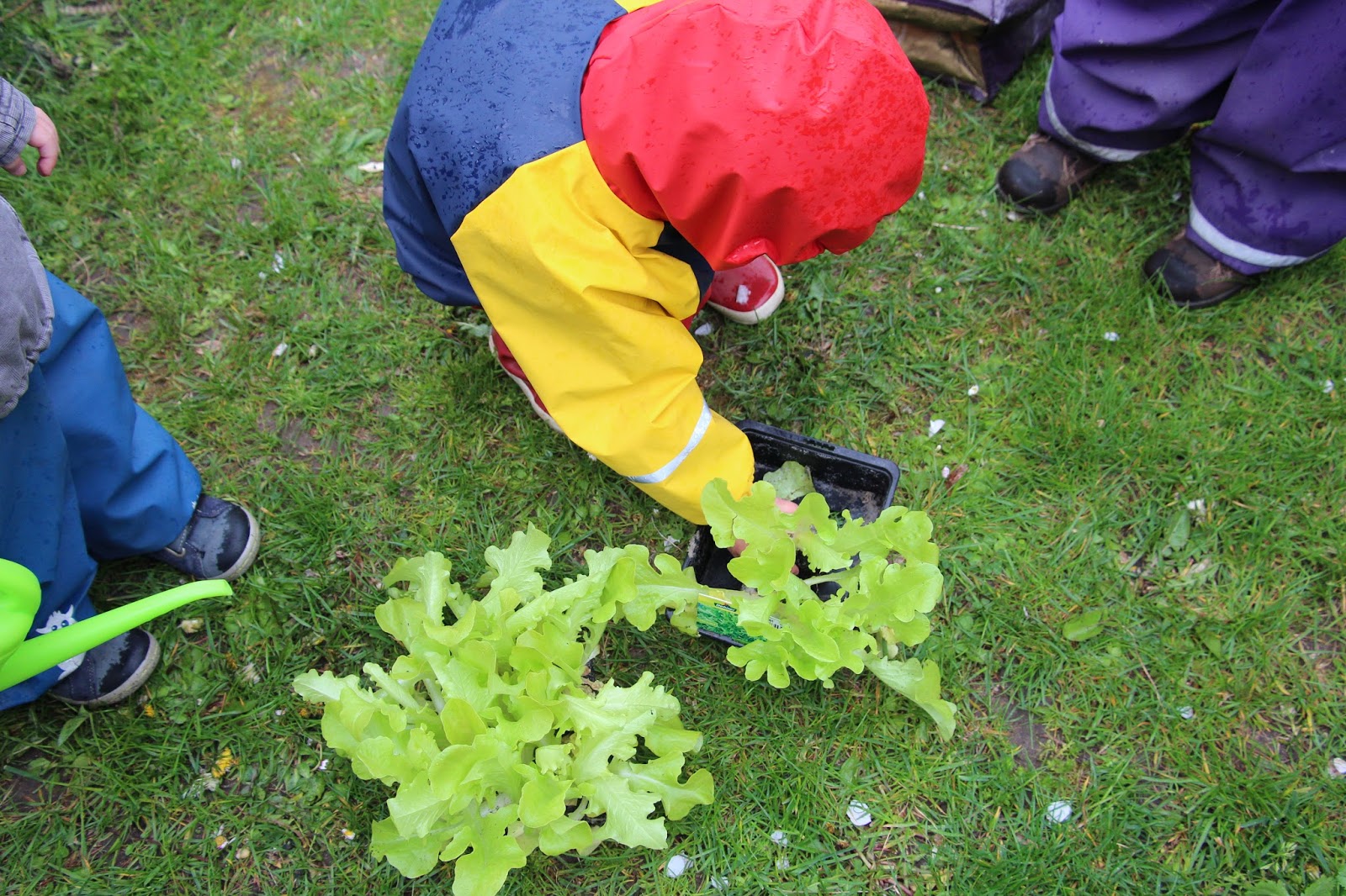 Barfuss Im Gras Gartenarbeit