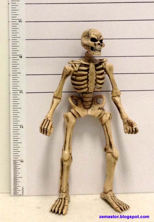 tiny skeleton toy
