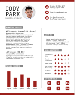 resume maker professional