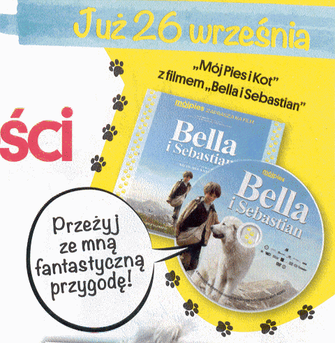 Mój Pies I Kot 616 Ze Słuchawkami W Biedronce Dodatki W