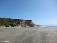 beach at Point Reyes National Seashore, California