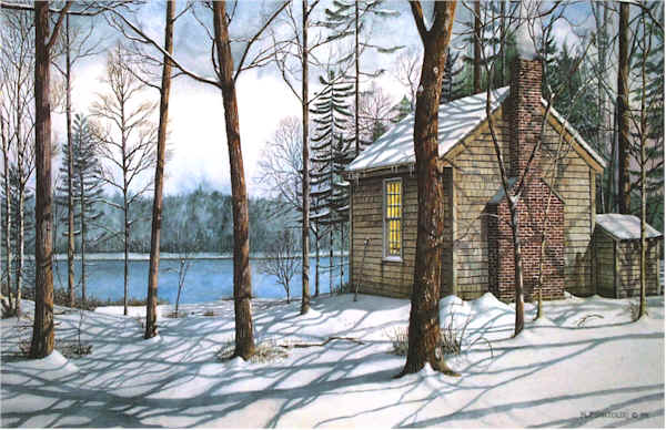 essays walden pond essays walden pond