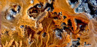 stone allegory algae desert,Stone plant fantasy,Abstract Naturalism,abstract photography deserts of Africa from the air,abstract surrealism,mirage in desert,fantasy forms ,colors ,flowers,leave,roots stone allegory algae desert,Stone plant fantasy,Abstract Naturalism,abstract photography deserts of Africa from the air,abstract surrealism,mirage in desert,fantasy forms ,colors ,flowers,leave,roots