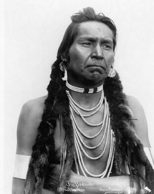 вождь племени чероки. секвойя индеец чероки. индейцы северной америки чероки. индейцы чероки. вождь чероки.