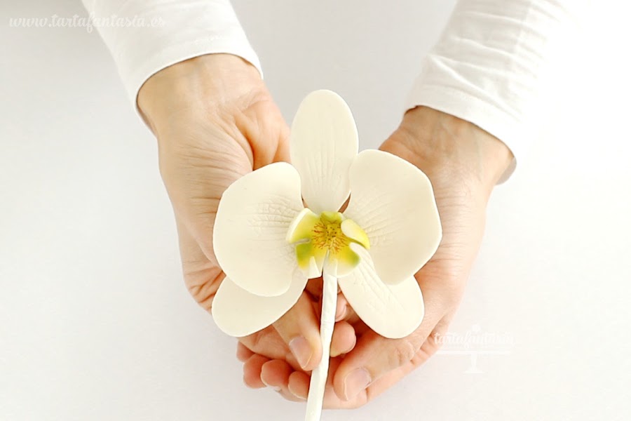 Tutorial Orquídea Mariposa de azúcar