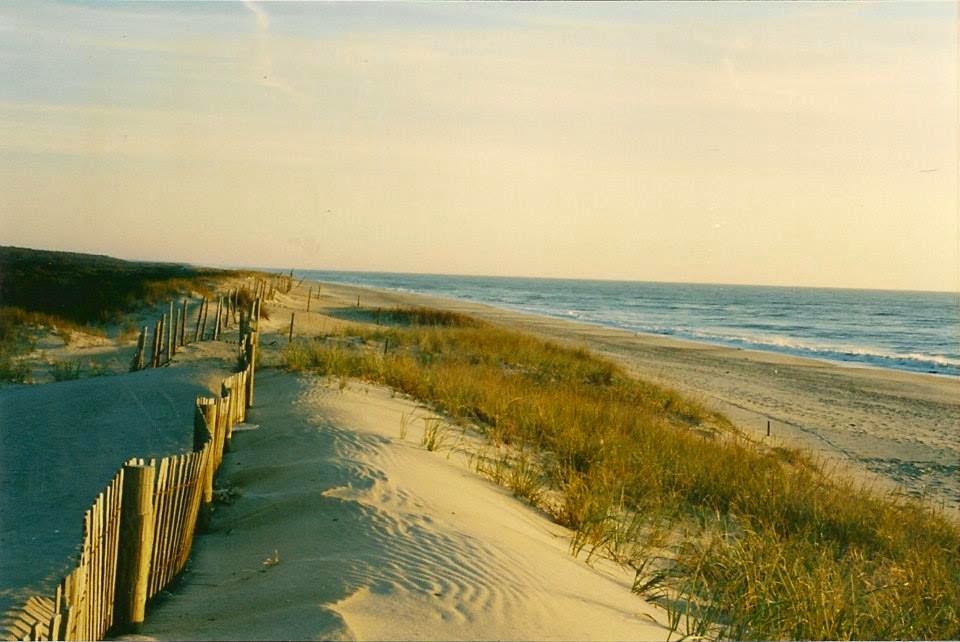 Critter Sitter's Blog Assateague and Chincoteague Island Views