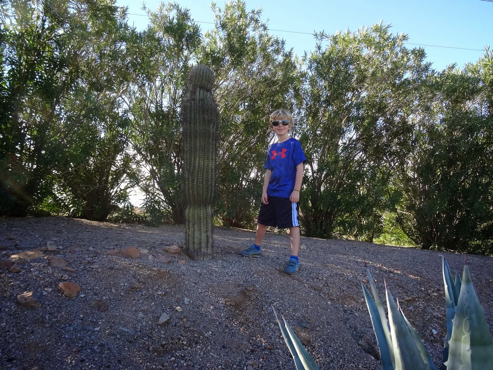 Boy Meets Cactus.