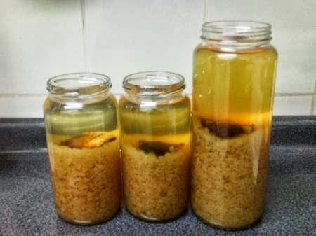 hongos tibetanos para adelgazar