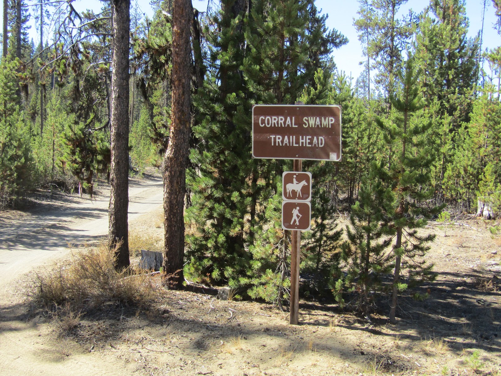 Holly's Horse Tales and Trails Cultus Corral Horse Camp, Three Sisters Wilderness, Oregon