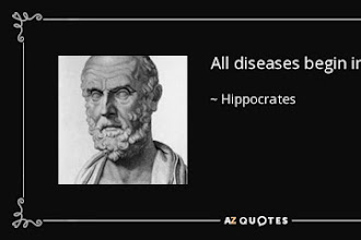 Alimentar a nossa microbiota, todos os dias!