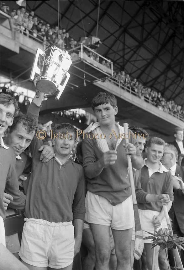 Irish Photo Archive The AllIreland Hurling Championship Past and Present