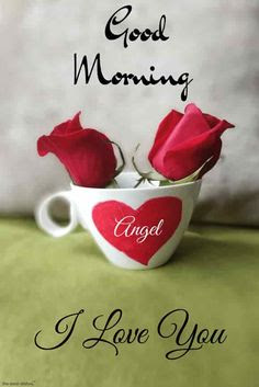 good morning good morning