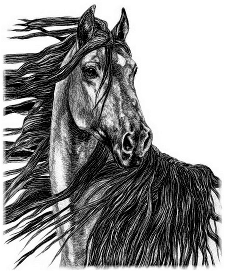 imagenes-caballos-en-dibujos