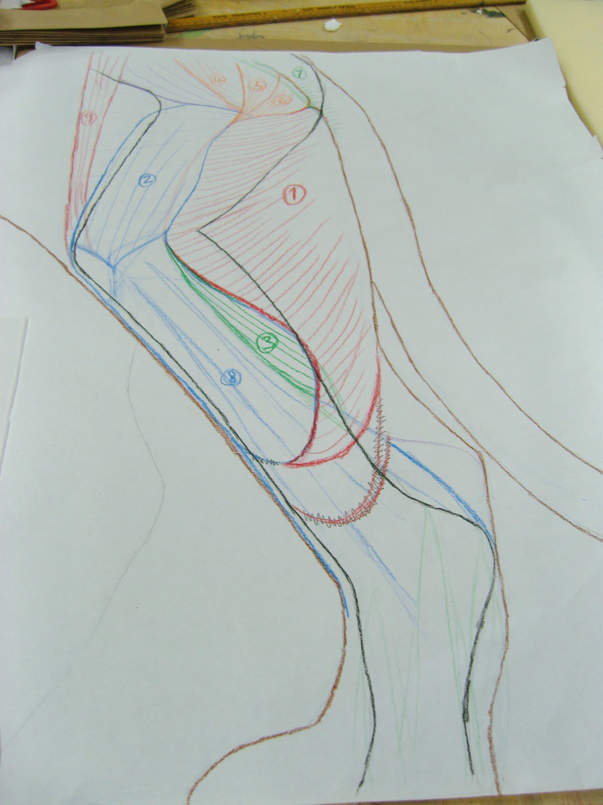 Fabrication du muscle