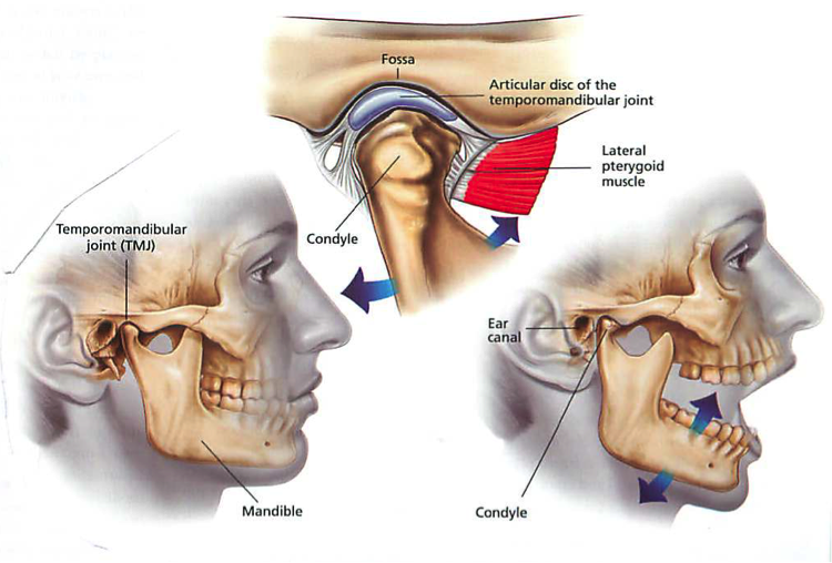 gangguan tmj Temporo Mandibular Joint
