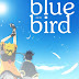 Ikimono Gakari - Blue Bird lyrics