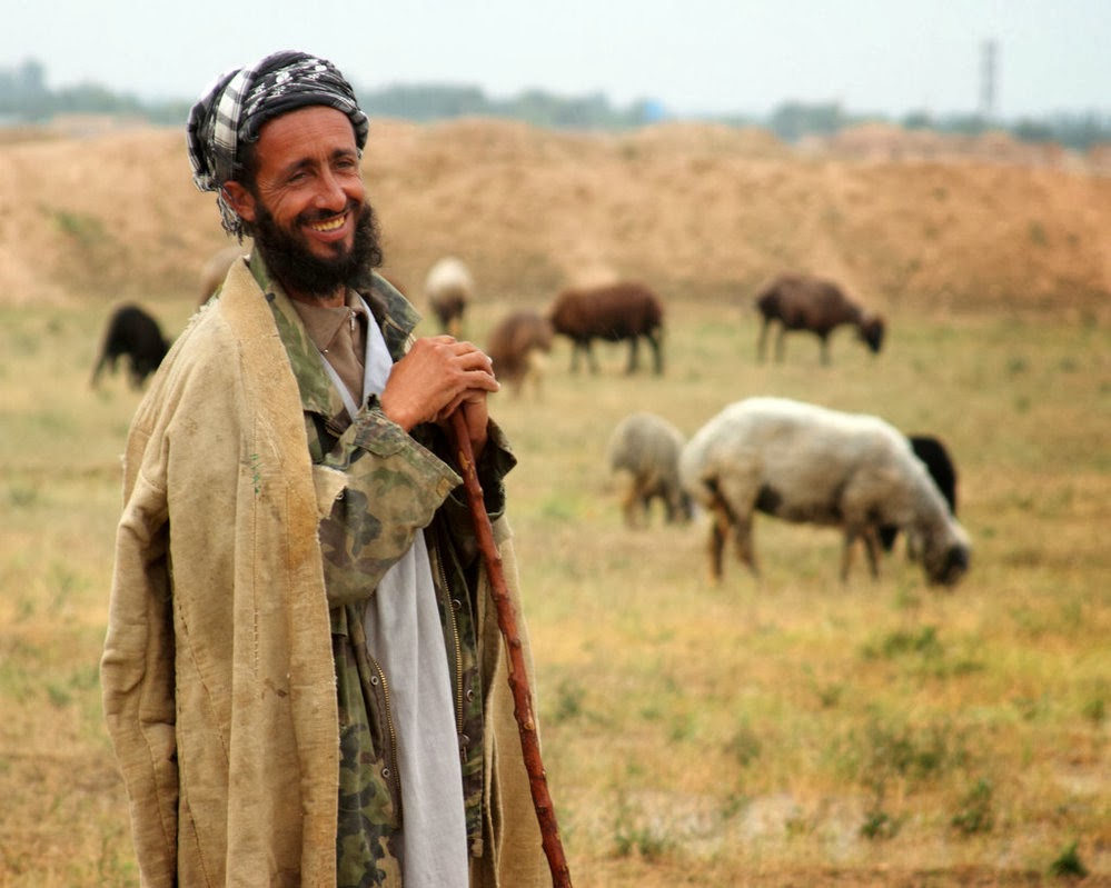 the ayars affairs: the door of the sheep