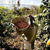 Sopla,descubren lo bueno que tomarse su cafecito.