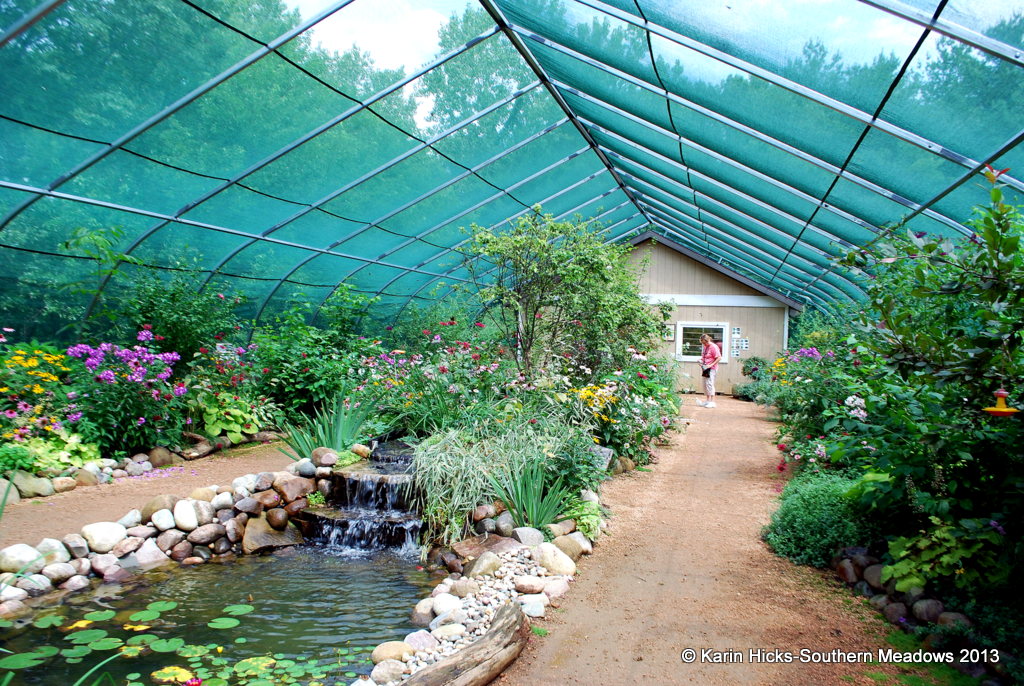 A Different Kind of Butterfly House