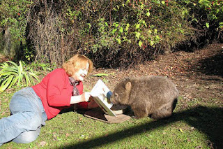 Jackie's two passions are books and wombats (Photo: jackiefrench.com) Jackie's two passions are books and wombats (Photo: jackiefrench.com)