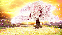 anime landscape background forest outdoor