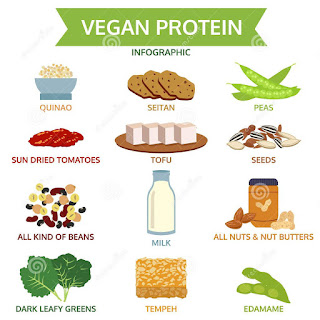 Concept Of Protein Powder. Make Everything Clear Like Why? When? How ...