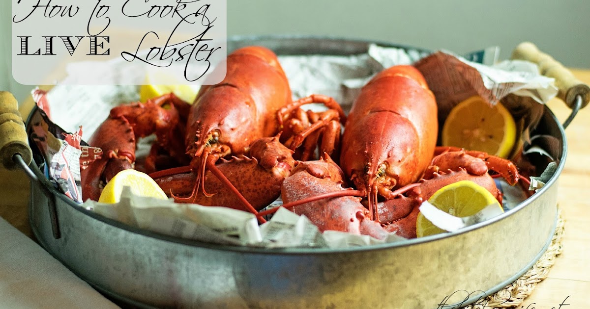 Buy Lobster Cooking Pot  Classic Pot to Boil Steam Live Lobster