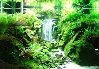 200 Referensi Desain Dan Model Aquascape Berdasarkan Tema https://www.faktapopuler.com/2018/12/200-referensi-desain-dan-model.html