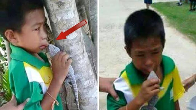 Foto Anak Nangis Digigit Tokek Foto Anak Nangis Digigit Tokek