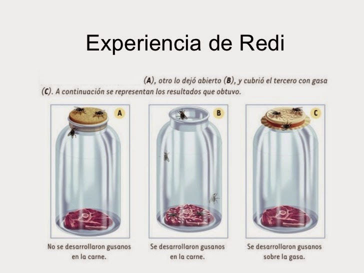 Pasteur y la Generación Espontánea Ciencias para el mundo contemporáneo Pasteur y la Generación Espontánea Ciencias para el mundo contemporáneo