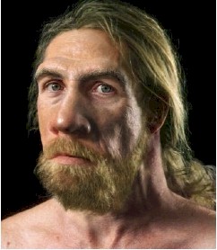 neanderthal henwood male genealogy basque
