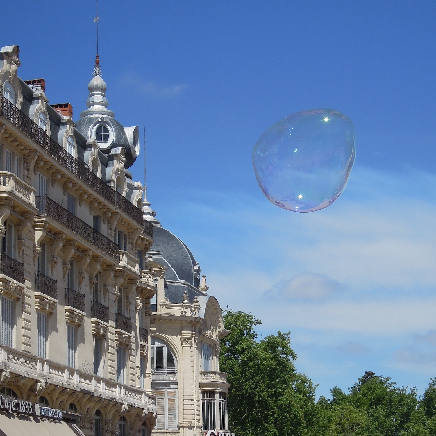 MaiTai's Picture Book Instagram recap