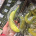 Is this the most wasteful packaging EVER? Shoppers slam stores using excessive plastic to protect their products - from individually wrapped oranges to pre-peeled avocado halves (25 Pics)