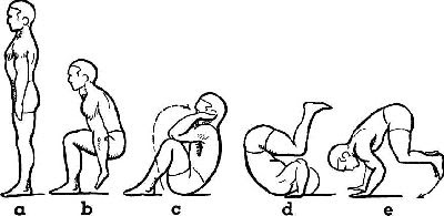 Bentuk-bentuk Latihan Senam Lantai Bentuk-bentuk Latihan Senam Lantai