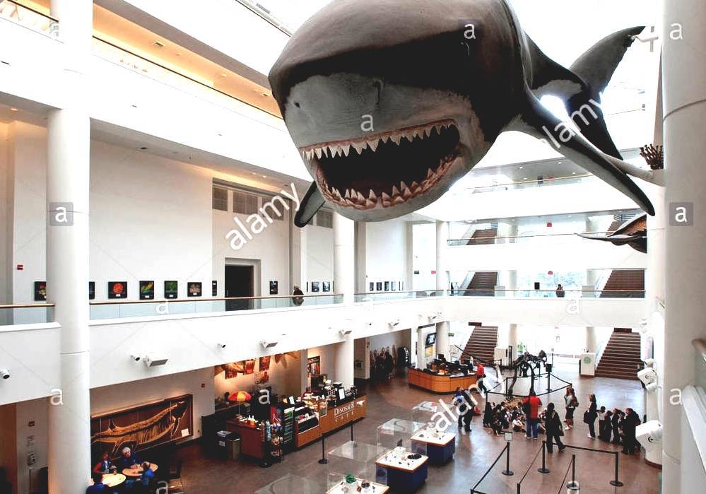 San Diego Natural History Museum San Diego National History Museum