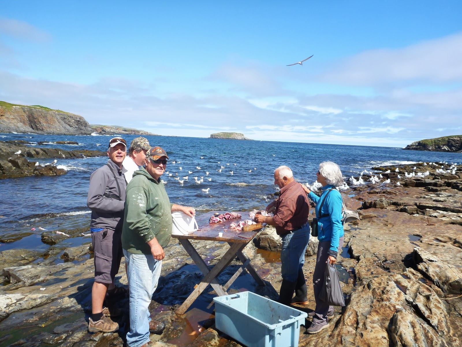 Acheter Un Bout De Terre En Ecosse Hélène et Jean à Terre-Neuve: Elliston et Bonavista