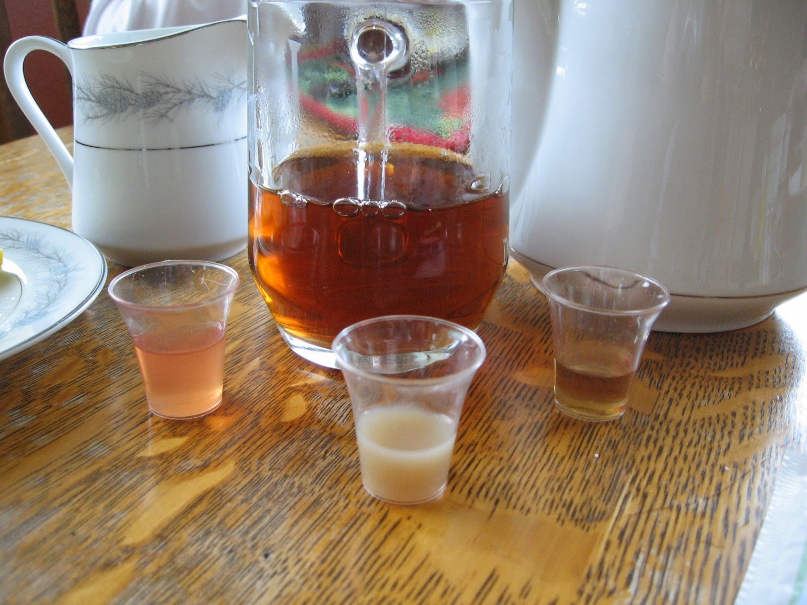 Almost Unschoolers: Christmas "Science" Tea