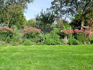 neues Staudenbeet (c) by Joachim Wenk neues Staudenbeet (c) by Joachim Wenk