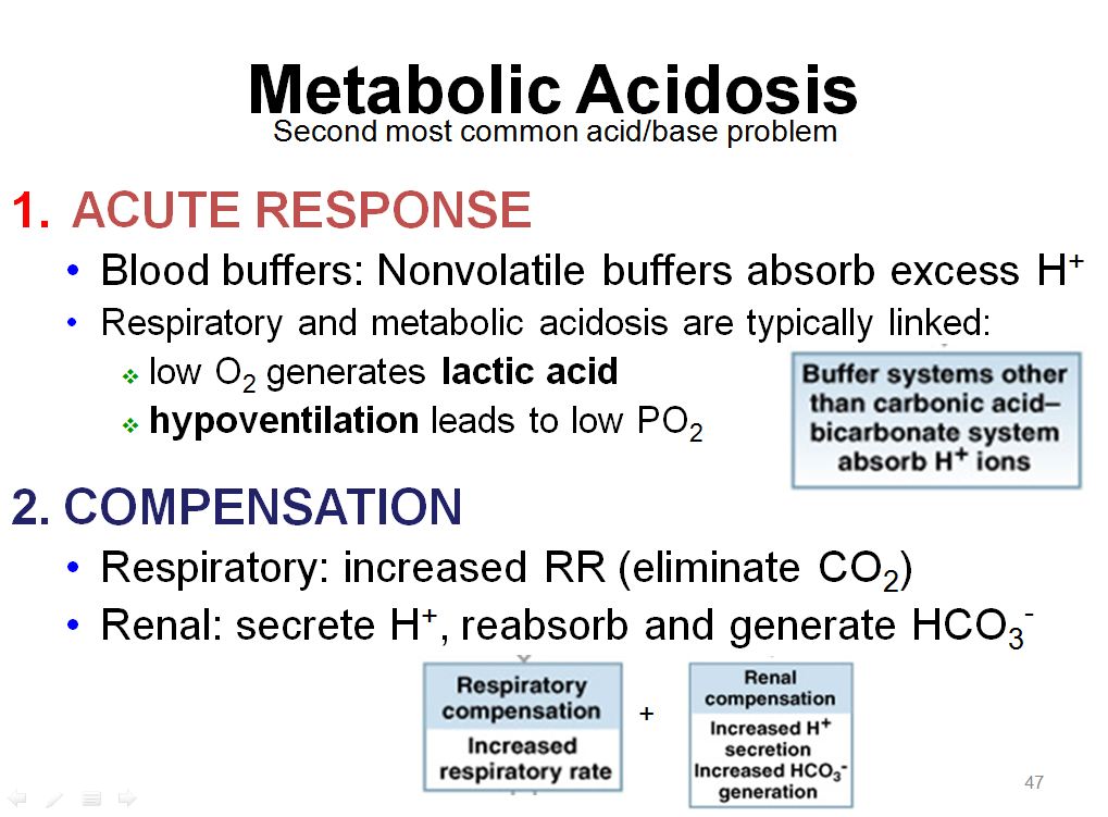 Medicine Newbie SGD Compensation in Metabolic Acidosis