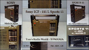 SONY ELECTRONIC JAPAN