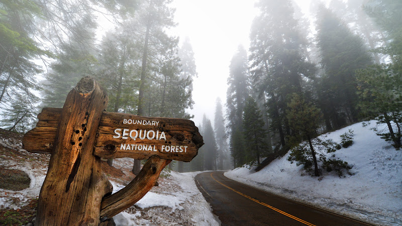 Sequoia National Park