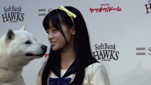 NHK総合を常に実況し続けるスレ 142333 わんこ	YouTube動画>1本 ->画像>25枚 
