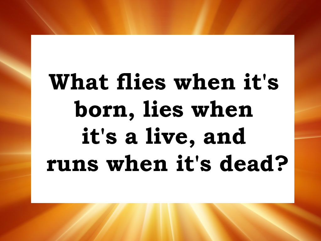 12 funny and interesting riddles that will completely break your head